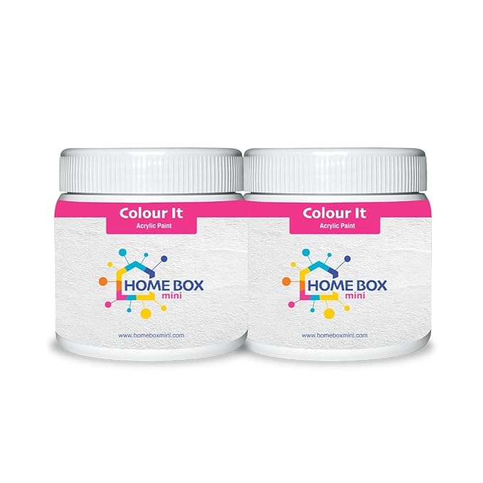 HOMEBOX mini Colour It White Acrylic Paint Pack of 2 ( 100gm )