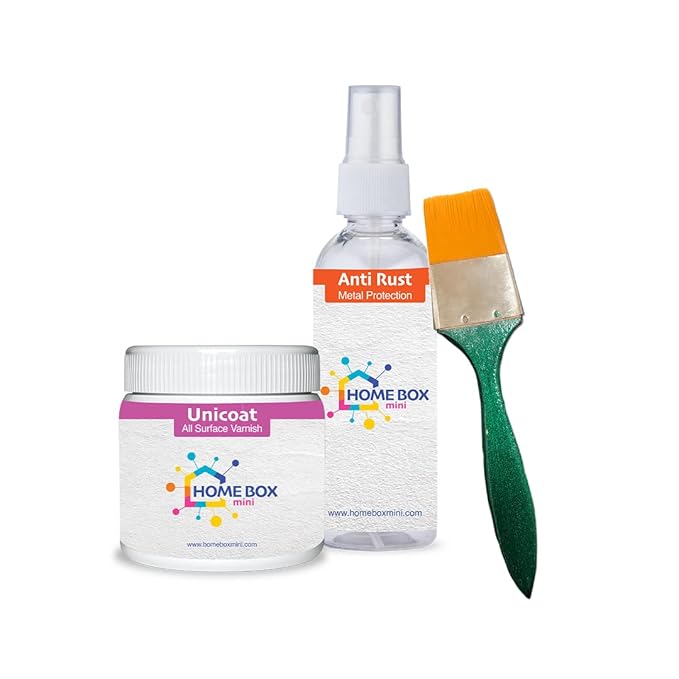 HOME BOX Mini Unicoat Varnish & Anti-Rust Metal Protector (100g + 100g) with Soft Brush